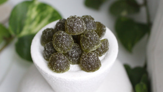Natural Sleep, ADHD, Stress & Inflammation Gummies Close Up